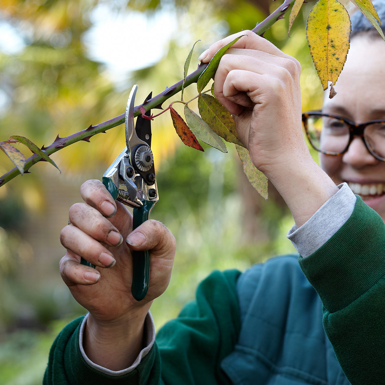 RHS Pocket Pruner