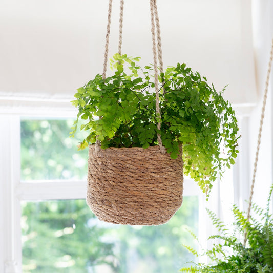 Garden Trading Short Woven Hanging Pot with Plant