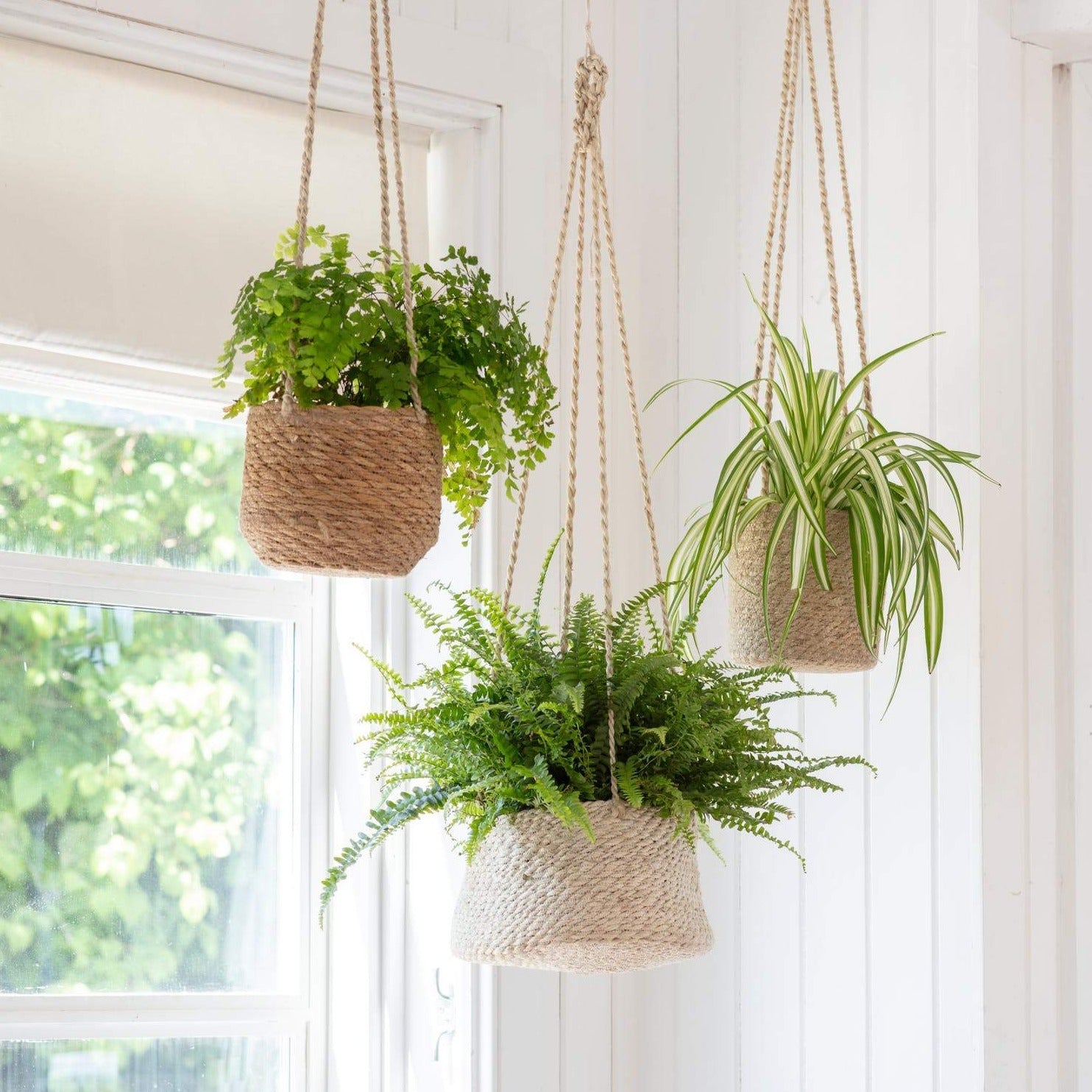 hanging plant pots australia Garden Trading Handwoven Seagrass Hanging Pot, Short