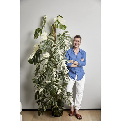 Craig Miller-Randle is one of Australia's most celebrated, self-confessed house-plant addicts.