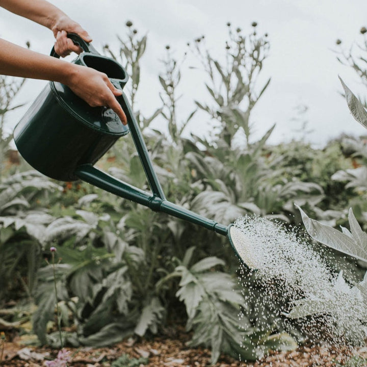 Haws The World's Oldest Watering Can Company Haws Australia