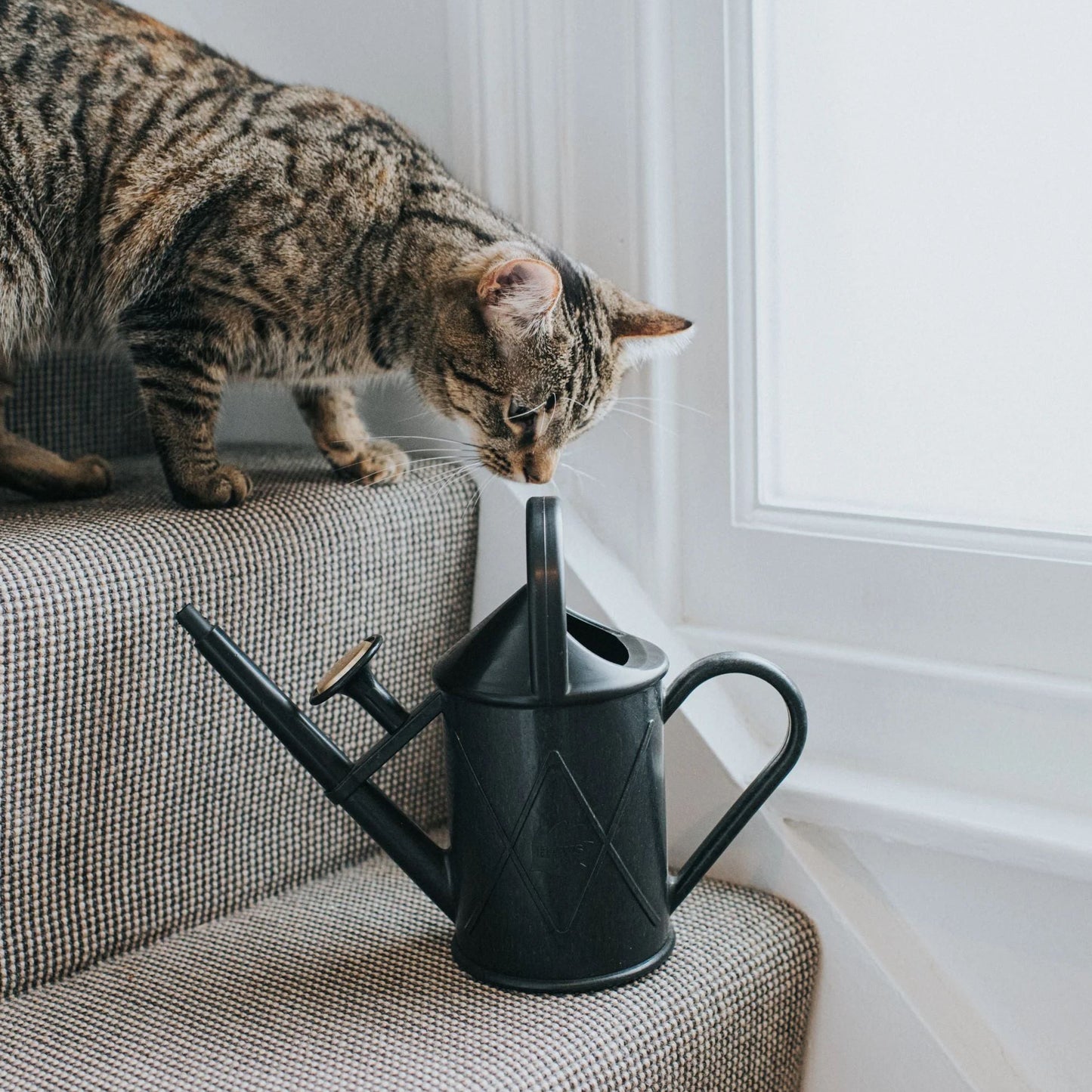 1.1L 'Bartley Burbler' Plastic Indoor Watering Can