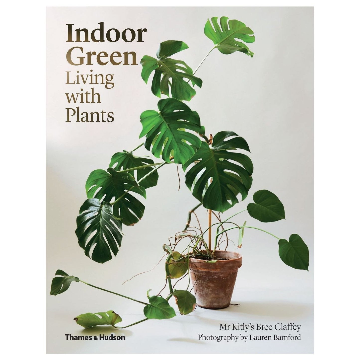 Indoor Green: Living with Plants