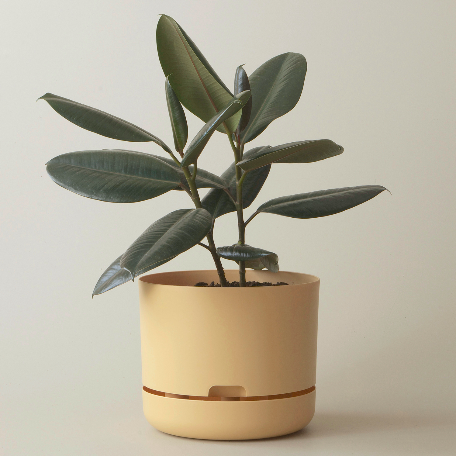 Mr Kitly Selfwatering Plant Pot, Bluff