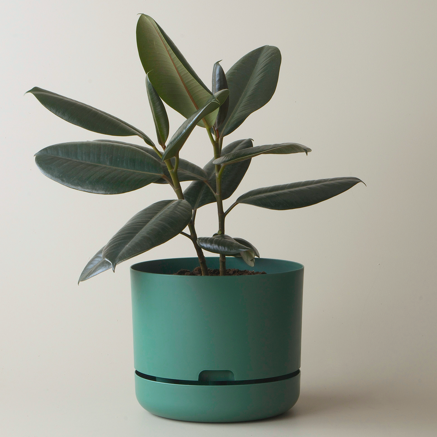 Mr Kitly Selfwatering Plant Pot, Dark Moss
