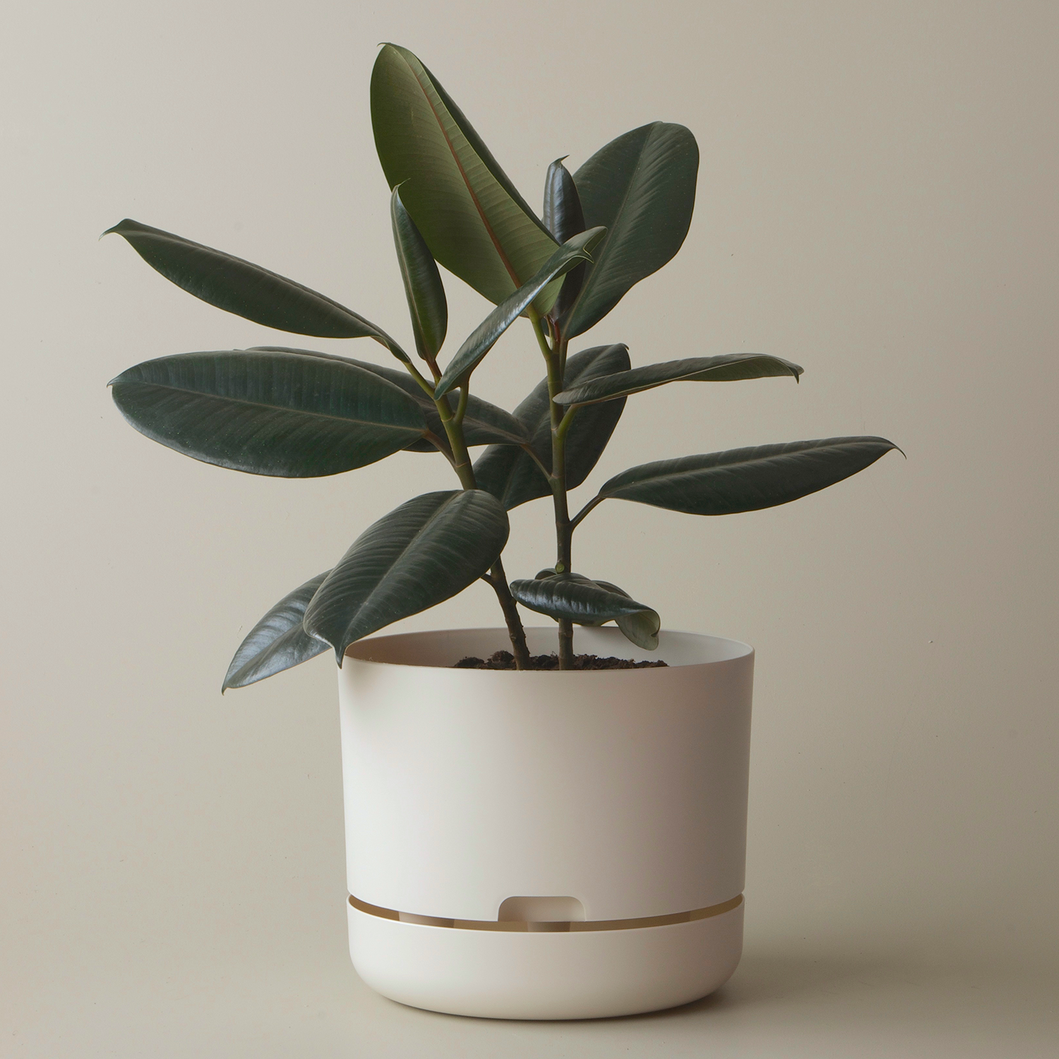 Mr Kitly Selfwatering Plant Pot, White Linen