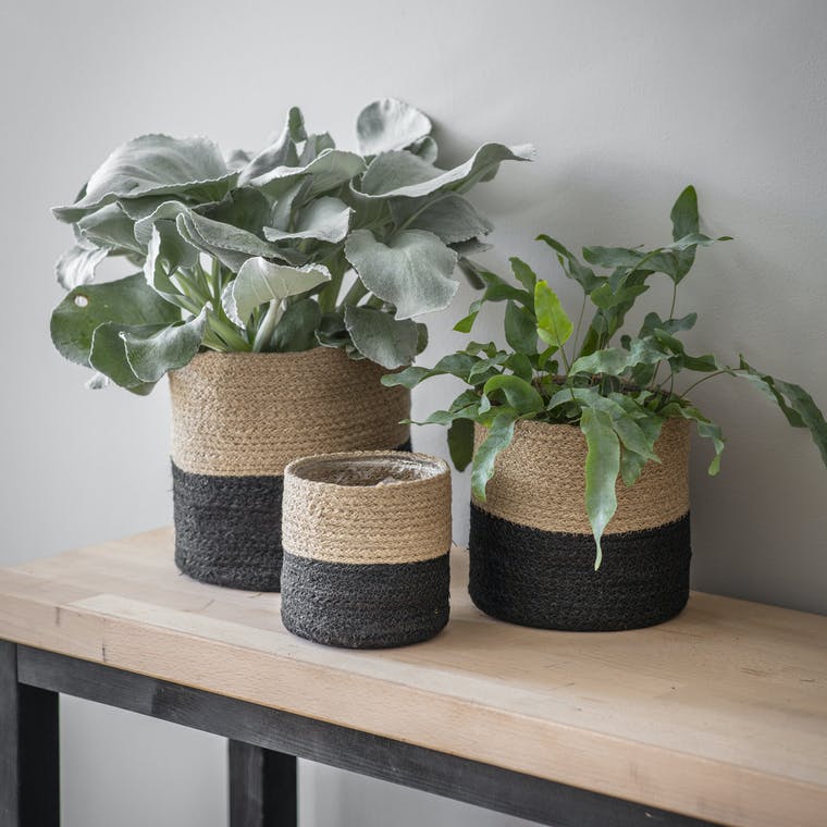 Set of 3 Jute Pots