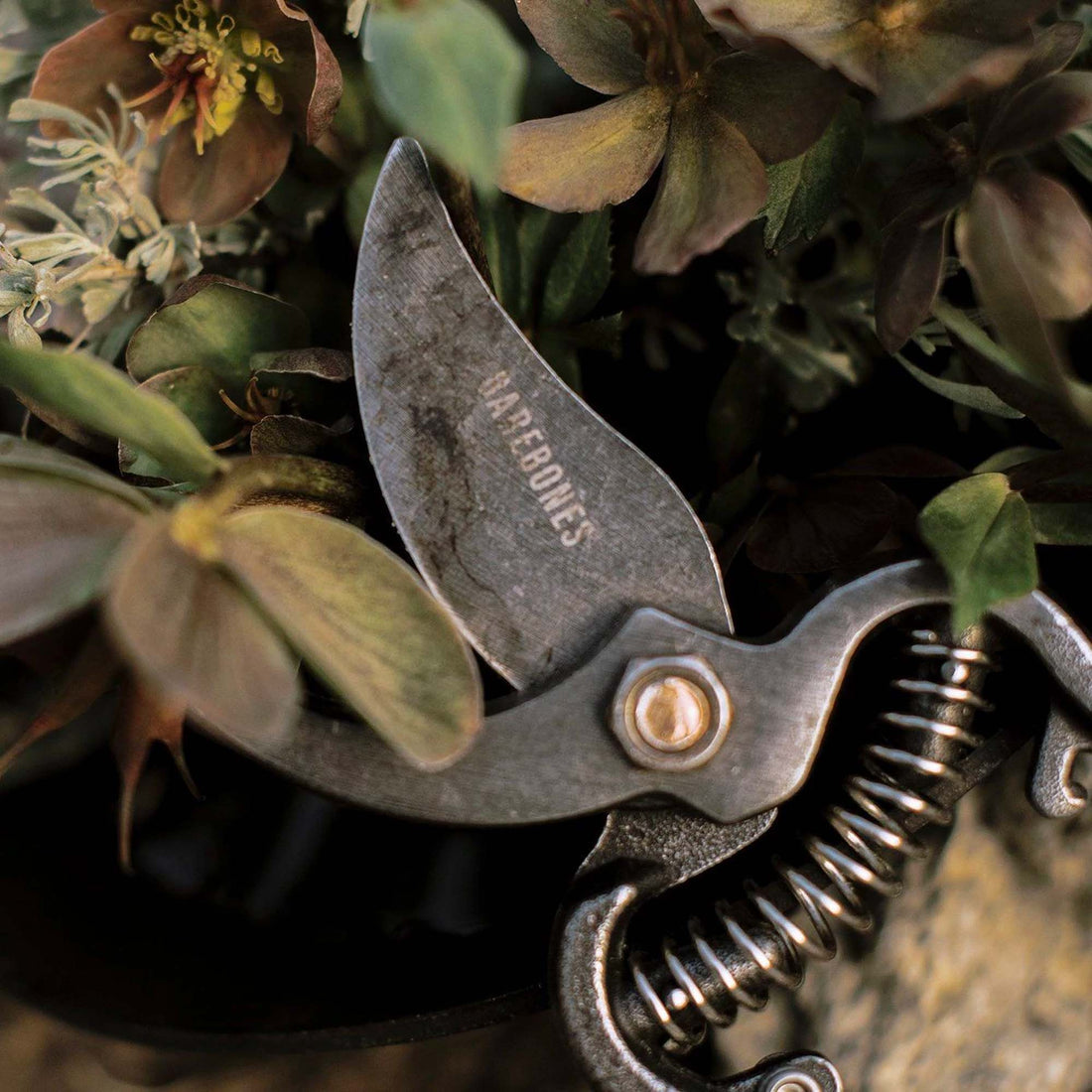 Barebones Pruner with Sheath aka snoeischaar met holster Barebones Pruner with Sheath aka snoeischaar met holster
