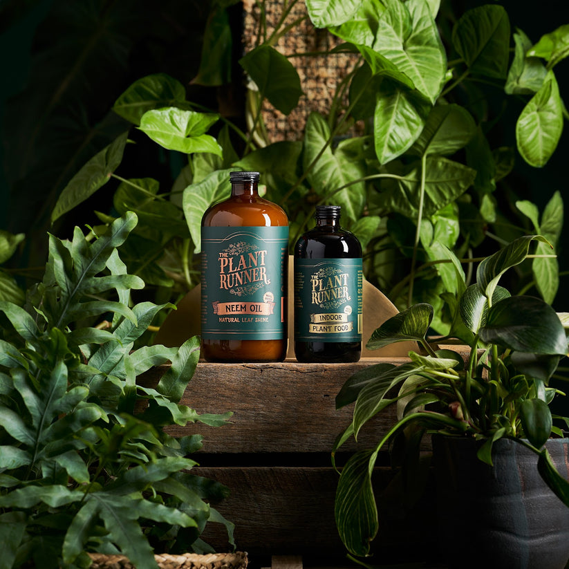 Plant Runner Neem Oil 1L Refill Bottle Natural Leaf Shine Backyard