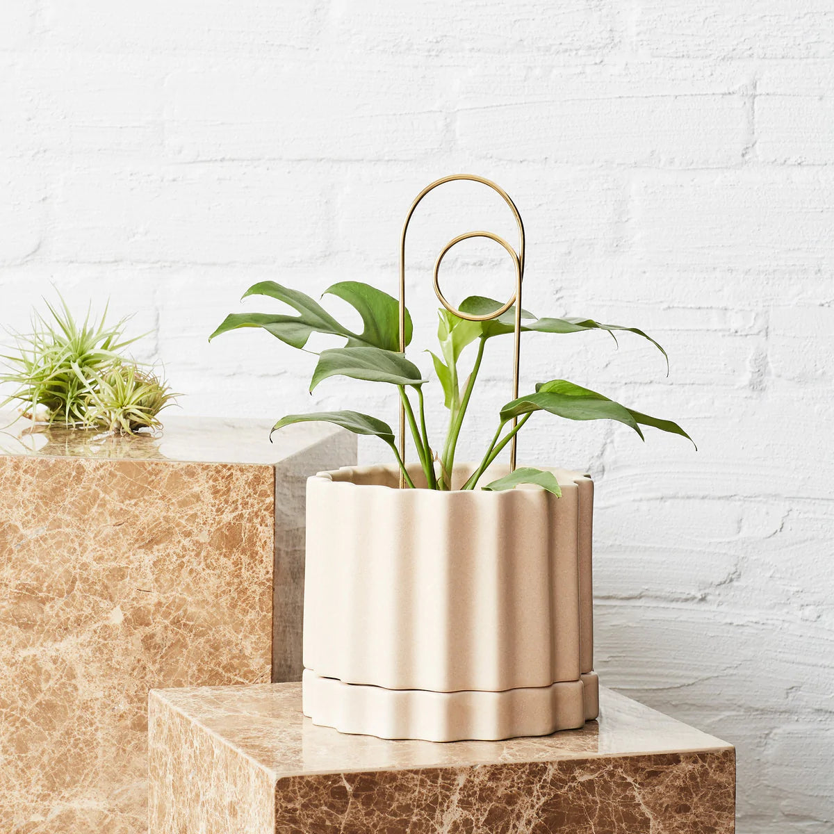 Ivy Muse Loop Brass Plant Stake in Pot
