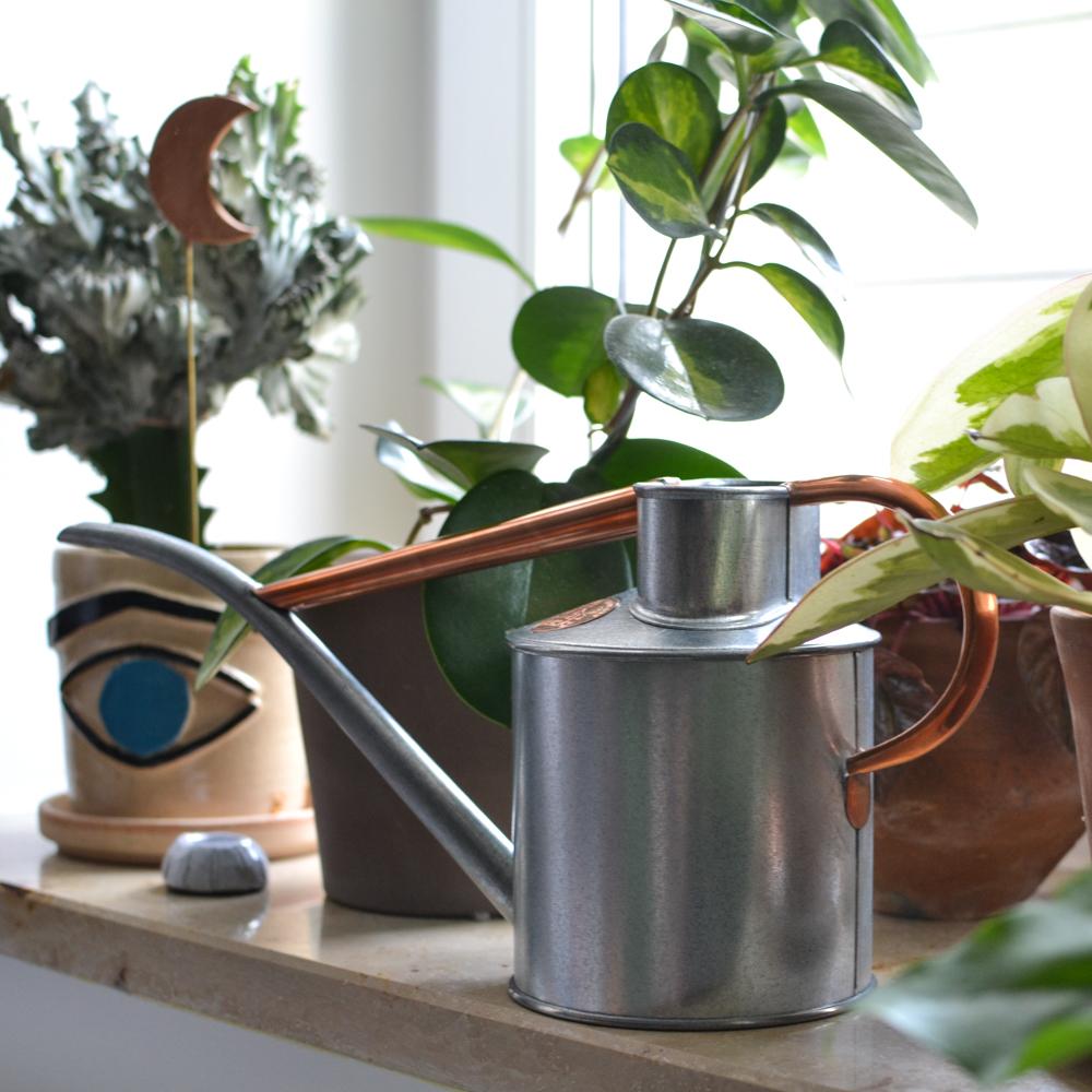 Meet the perfect small watering can for keeping your interior jungle in tip-top condition.