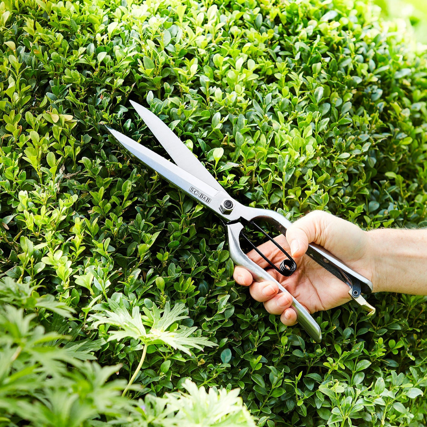 Stylish Garden Topiary Shears