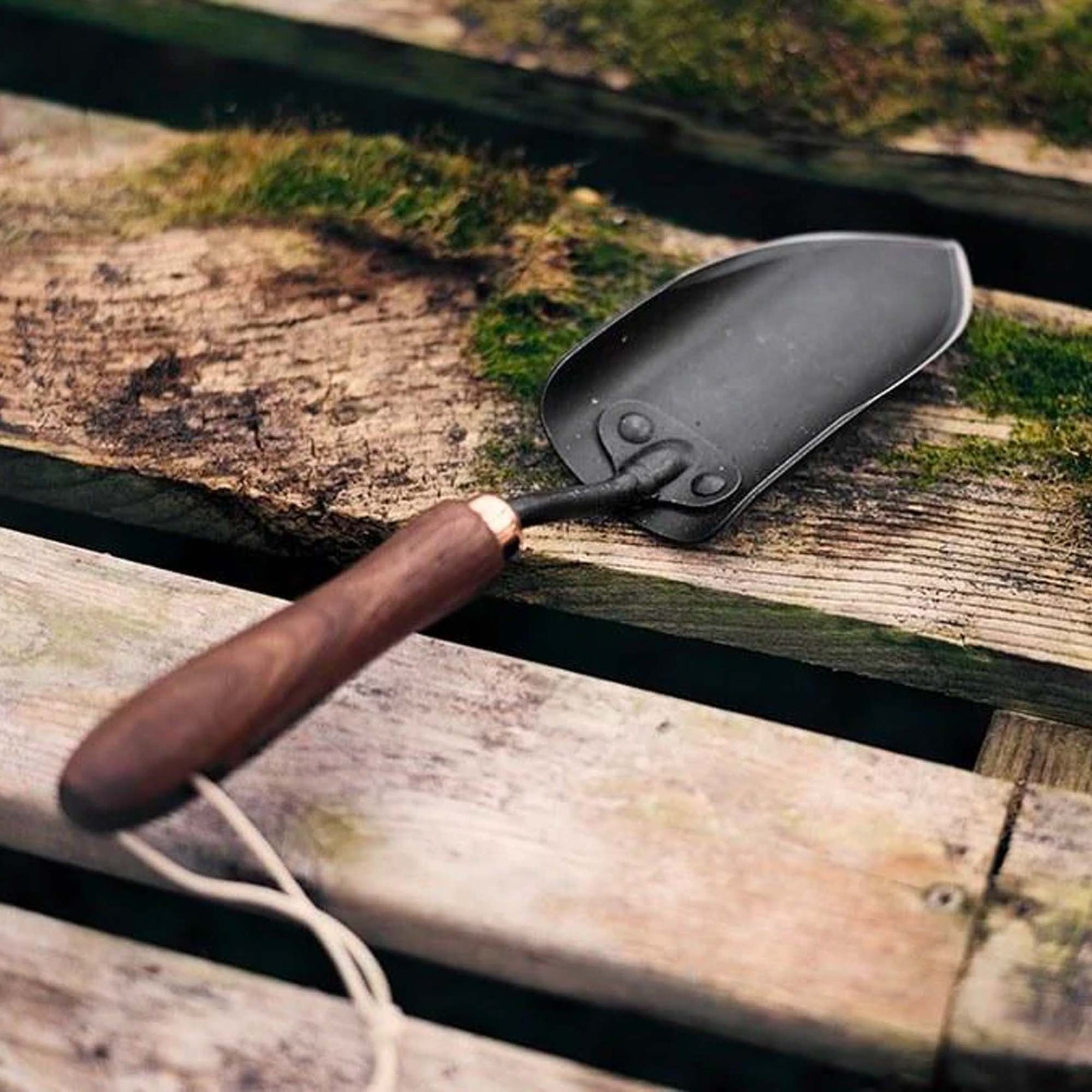 Ergonomic, heat-treated stainless steel blade and comfortable walnut handle.