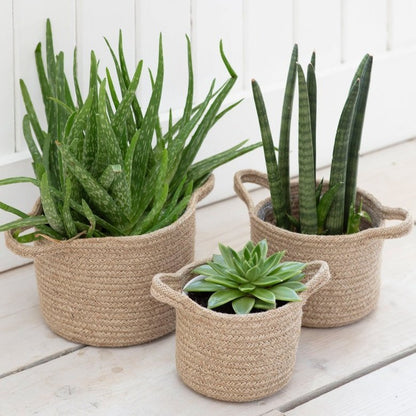 Set of 3 Woven Pots