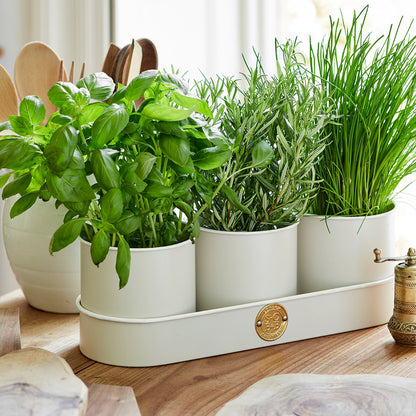 Sitting snugly in a handy tray, they’re easy to move about the kitchen if you need to – you might perhaps want to bring them over to your worktop, for super-fresh harvesting!