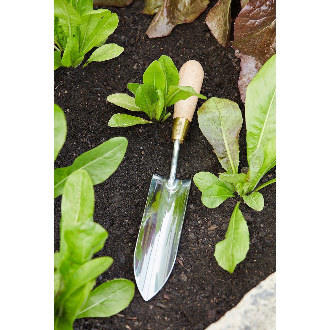 This long thin trowel is an invaluable garden tool, extremely useful for a large variety of gardening tasks. From digging in tight spaces to planting bulbs and long-rooted seedlings such as sweet peas, general weeding, as well as specifically weeding out long tap-rooted plants, the unique shape of this hand tool allows access where a trowel won’t fit.