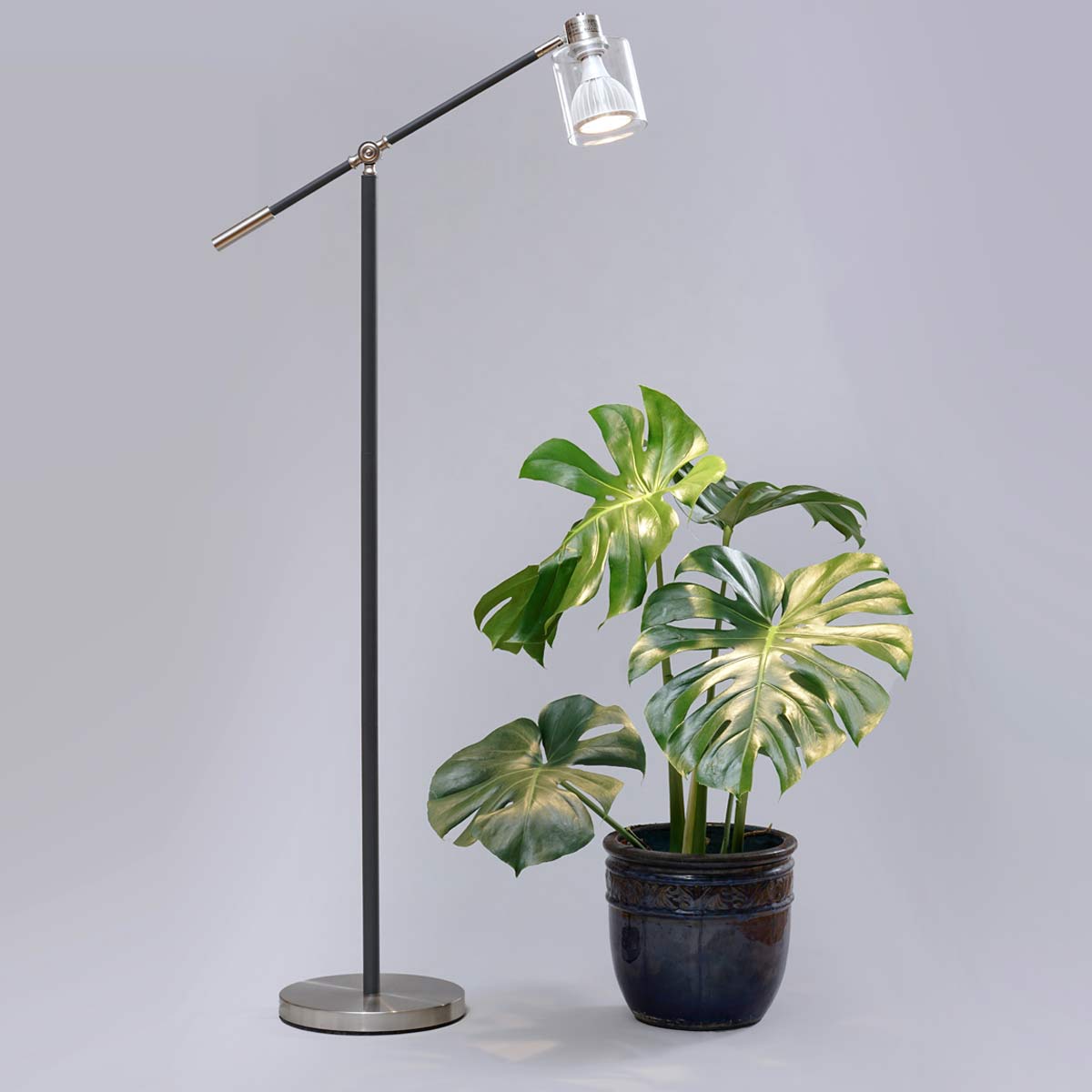 Floor plant store light