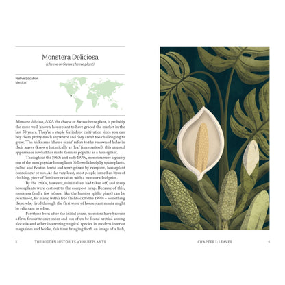 The Hidden Histories of Houseplants - Monstera Deliciosa