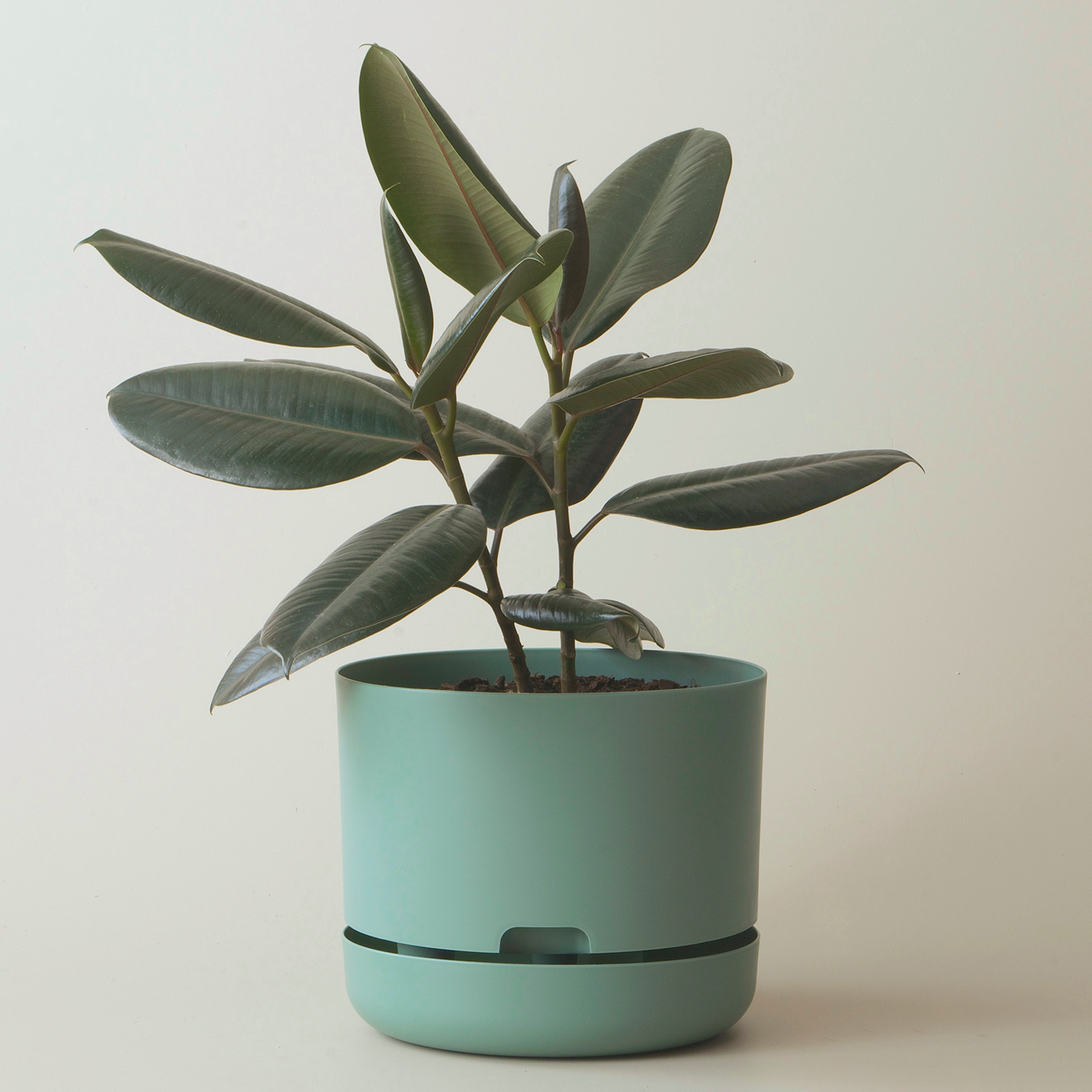 Mr Kitly Selfwatering Plant Pot, Cabinet Green