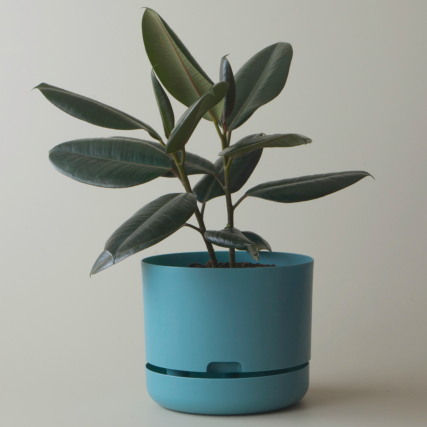 Mr Kitly Selfwatering Plant Pot, Pond Blue