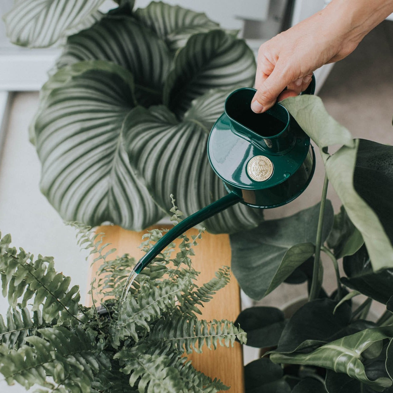 An elegantly curved non-drip spout delivers pinpoint watering accuracy, helping avoid splashes around your potted plants.