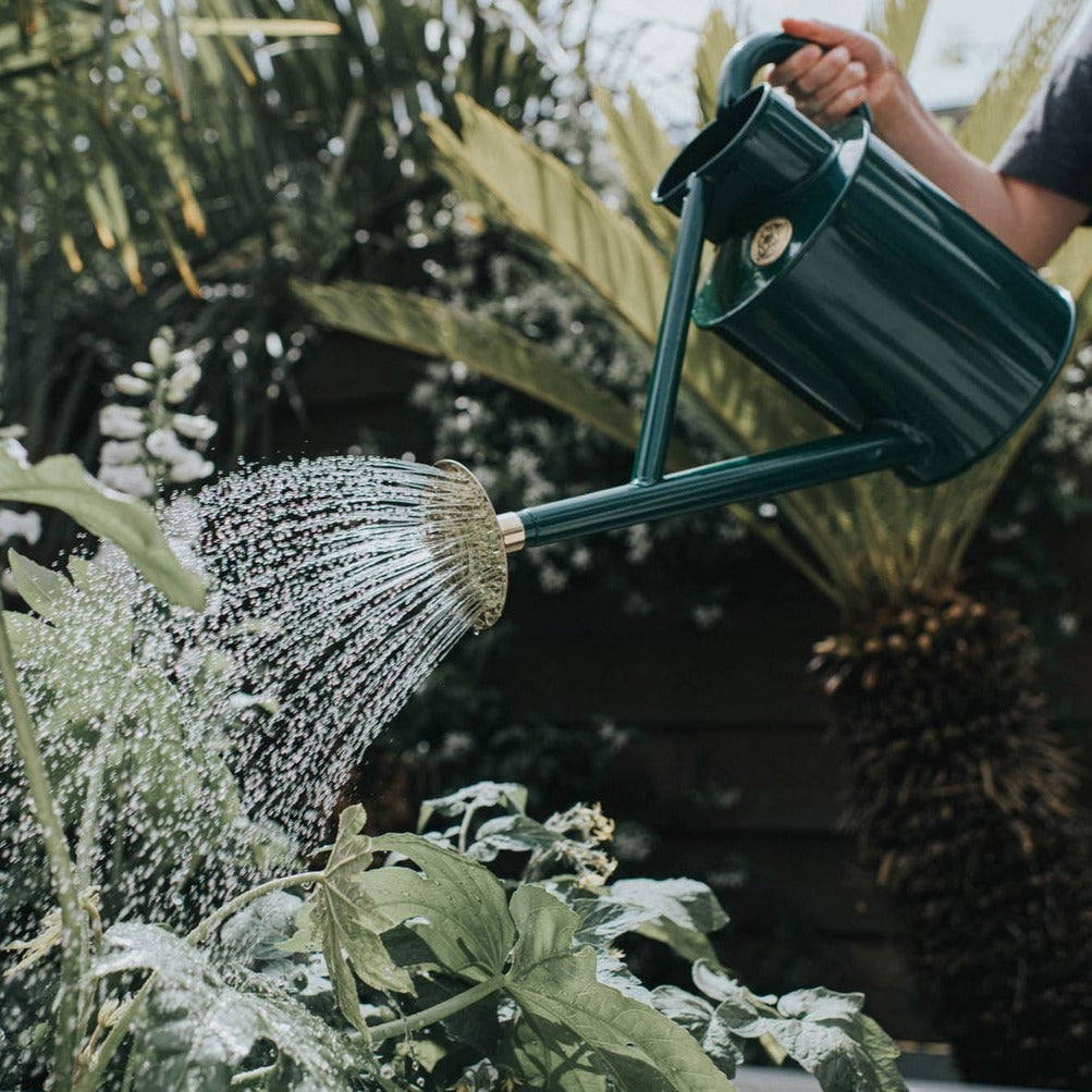 Perfectly balanced for easy carrying, this metal watering can is engineered from galvanised steel, specially sealed and powder-coated for corrosion protection.