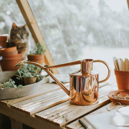 Haws Copper Watering Can on Garden Bench
