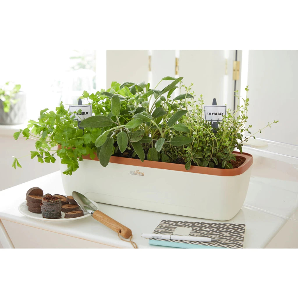 BoQube L Self-Watering Indoor Greenhouse