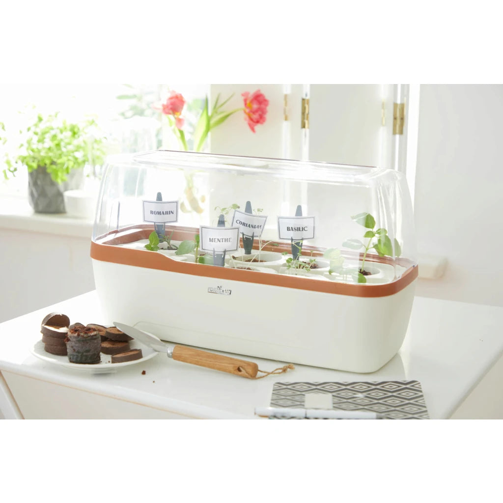 BoQube L Self-Watering Indoor Greenhouse