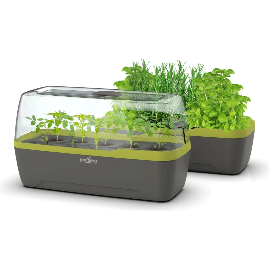 BoQube L Self-Watering Indoor Greenhouse